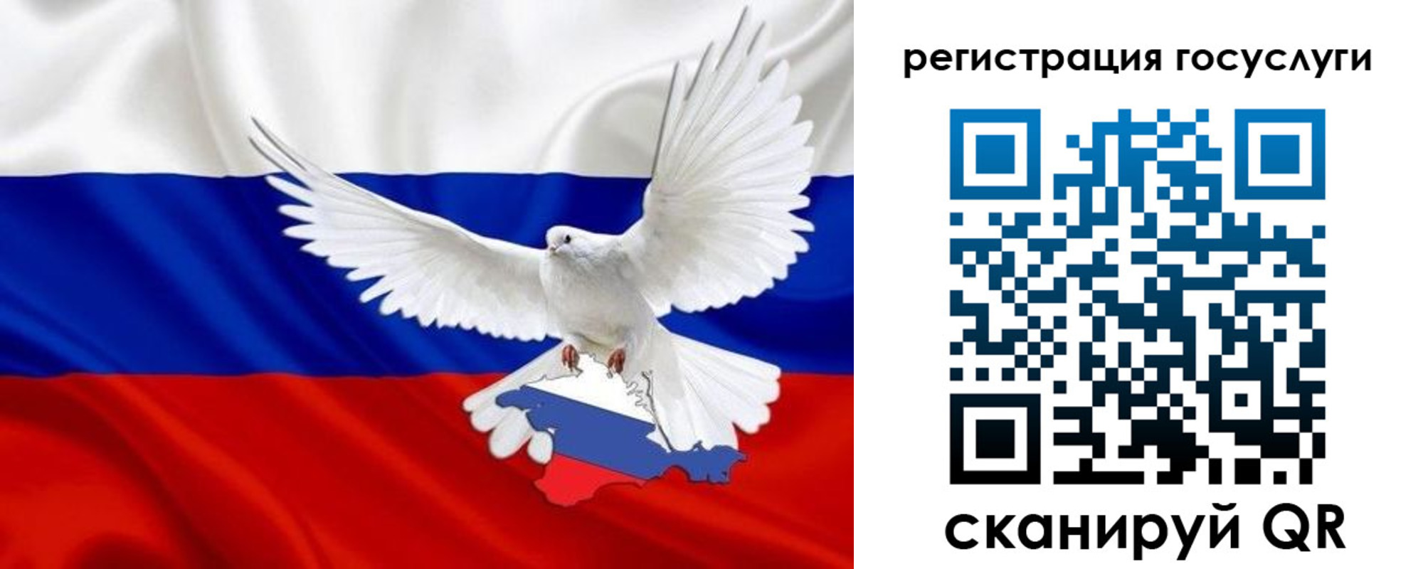 прописка законно в Жукове